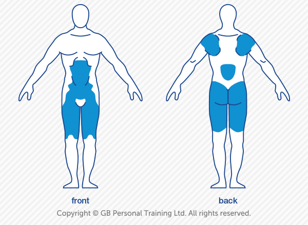 muscles workout during the kettlebell clean