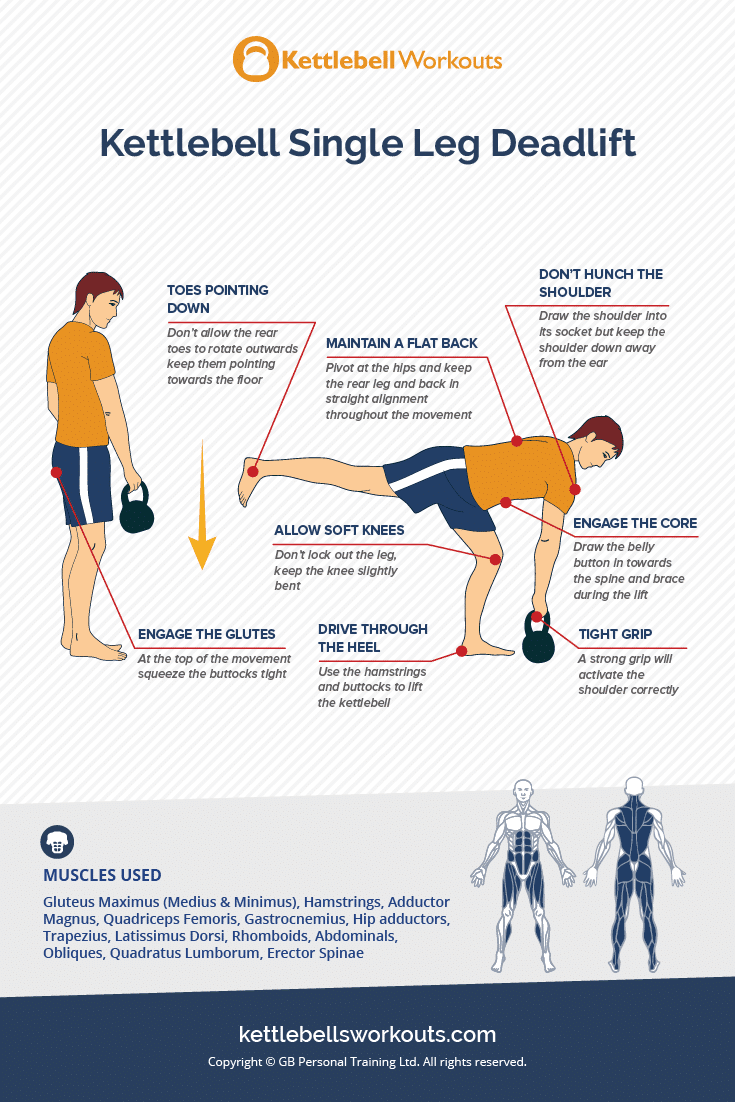 Kettlebell Single Leg Deadlift Form, Benefits, Muscles Worked