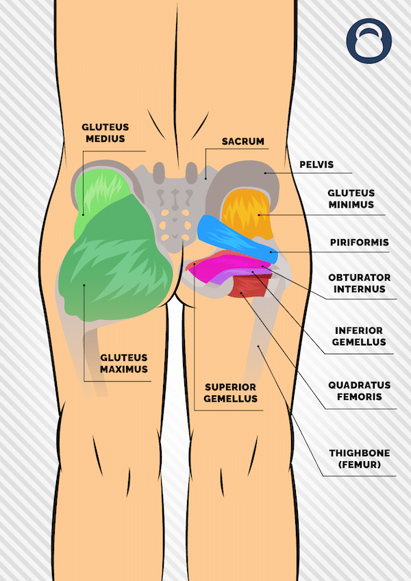 Butt muscle online exercises